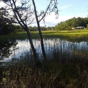 Meet your Posher, Cathy